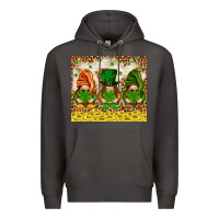 Smoke St. Patrick's Day gnomies with leopard tumbler Premium Hoodie - HowdyJamesFarm