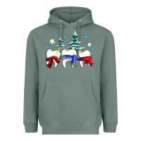 Sage dental christmas tree teeth and winter ado Heavyweight Hoodie - OliviaCreatesArt