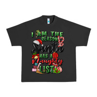 Pigment Black i am the reason santa has a naughty list Urban Heavy Tee - MaliasSmallBusiness