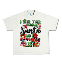 Pistachio i am the reason santa has a naughty list Urban Heavy Tee - MaliasSmallBusiness