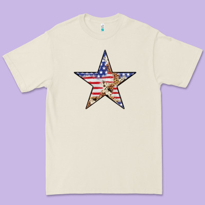 American Flag Star Premium Tee Designed By Lillyallendesigns