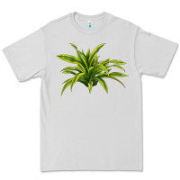 Dove Grey Lemon Lime Dracaena Leaf Premium Tee - LillyAllenDesigns