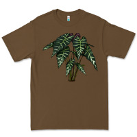 Cacao Amazon Elephant Ear Premium Tee - LillyAllenDesigns