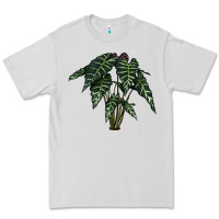 Dove Grey Amazon Elephant Ear Premium Tee - LillyAllenDesigns
