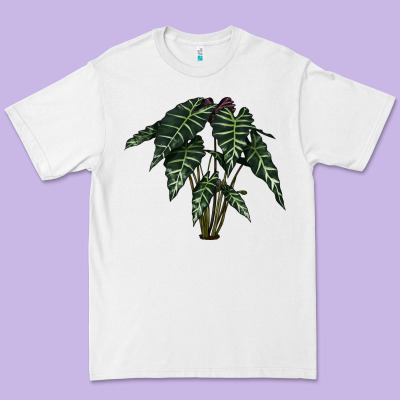 Amazon Elephant Ear Premium Tee Designed By Lillyallendesigns
