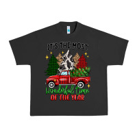 Pigment Black its the most wonderful time of the year Urban Heavy Tee - MaliasSmallBusiness
