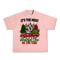 Salmon its the most wonderful time of the year Urban Heavy Tee - MaliasSmallBusiness