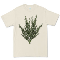 Bone Botanical Sagebrush Illustrations Premium Tee - LillyAllenDesigns