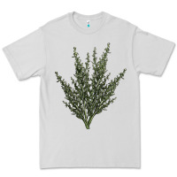 Botanical Sagebrush Illustrations Premium Tee | Teevron