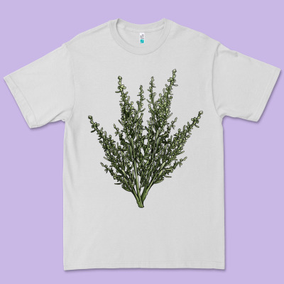 Botanical Sagebrush Illustrations Premium Tee Designed By Lillyallendesigns