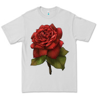 Dove Grey Oklahoma Rose Illustrations Premium Tee - LillyAllenDesigns