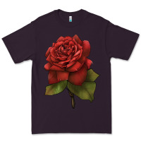 Plum Oklahoma Rose Illustrations Premium Tee - LillyAllenDesigns