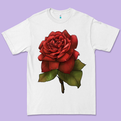 Oklahoma Rose Illustrations Premium Tee Designed By Lillyallendesigns