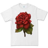 White Oklahoma Rose Illustrations Premium Tee - LillyAllenDesigns