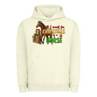 Pigment Pistachio All I Want For Christmas Is A Horse Urban Hoodie - LillyAllenDesigns