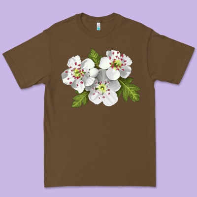 Hawthorn Flower Illustrations Premium Tee Designed By Lillyallendesigns