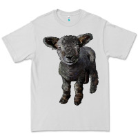 Dove Grey southdown baby sheep Premium Tee - LillyAllenDesigns