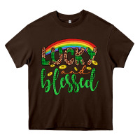 Chocolate Brown Western St. Patrick's Rainbow Lucky And Blessed Heavy Core Tee - Artiststas