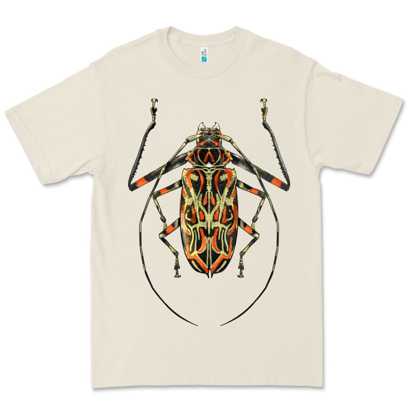 Acrocinus Beetle Illustrations Premium Tee by LillyAllenDesigns | Teevron