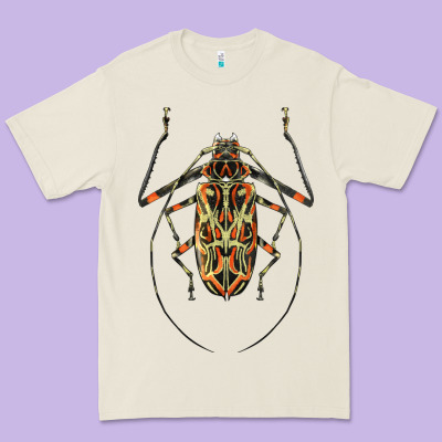 Acrocinus Beetle Illustrations Premium Tee Designed By Lillyallendesigns