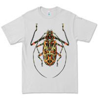 Dove Grey Acrocinus Beetle Illustrations Premium Tee - LillyAllenDesigns