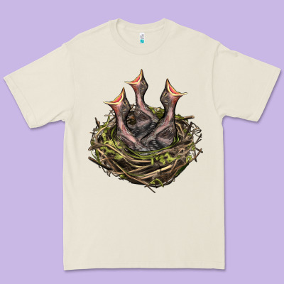 Bird Nest With Baby Birds Premium Tee Designed By Lillyallendesigns