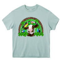 Arona st patricks cow rainbow Heavy Core Tee - Artiststas