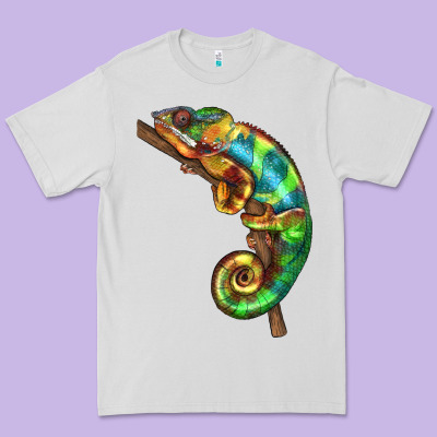 Chameleon Lizard Illustrations Premium Tee Designed By Lillyallendesigns
