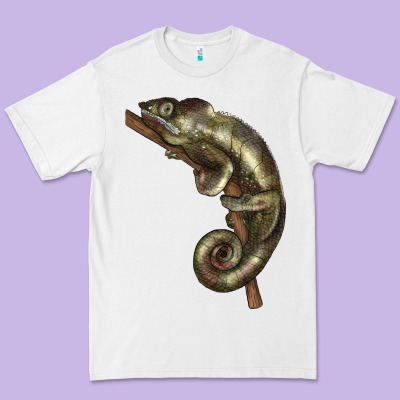 Green Chameleon Lizard Illustrations Premium Tee Designed By Lillyallendesigns