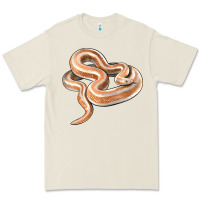 Bone Rosy Boa Snake Illustrations Premium Tee - LillyAllenDesigns