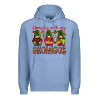 Colony Blue Hanging with my gnomigos Mexico Premium Hoodie - HowdyJamesFarm