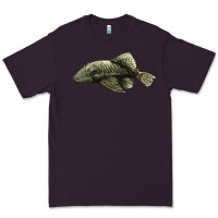 Plum Bristlenose Placo Premium Tee - LillyAllenDesigns