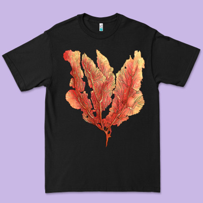 Pink Venus Fan Sea Coral Premium Tee Designed By Lillyallendesigns