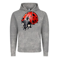 Cloud Rock ladybug Vintage Hoodie - Jasminsmagicworld