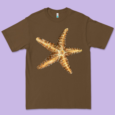 Starfish Premium Tee Designed By Lillyallendesigns