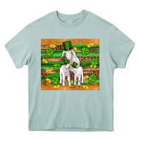 Arona st patricks goat family shamrock gold serape leopard glitter wooden tu Heavy Core Tee - Artiststas