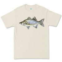 Bone White Bass Fish Illustrations Premium Tee - LillyAllenDesigns
