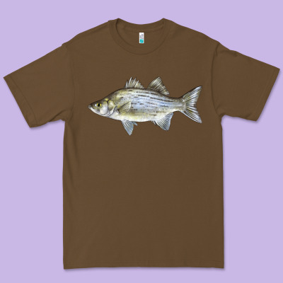 White Bass Fish Illustrations Premium Tee Designed By Lillyallendesigns