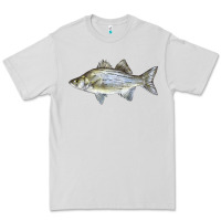 Dove Grey White Bass Fish Illustrations Premium Tee - LillyAllenDesigns