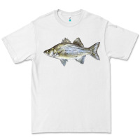 White White Bass Fish Illustrations Premium Tee - LillyAllenDesigns