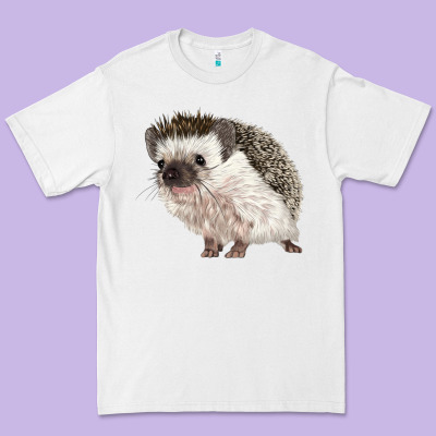 Hedgehog Illustrations Premium Tee Designed By Lillyallendesigns