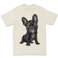 Bone french bulldog Premium Tee - BarkalooDesign
