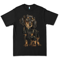 Black dachshund Premium Tee - BarkalooDesign