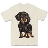 Bone dachshund Premium Tee - BarkalooDesign