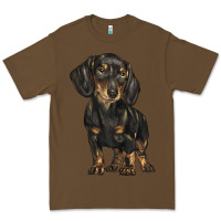 Cacao dachshund Premium Tee - BarkalooDesign