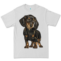 Dove Grey dachshund Premium Tee - BarkalooDesign