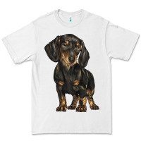 Dachshund Premium Tee | Teevron