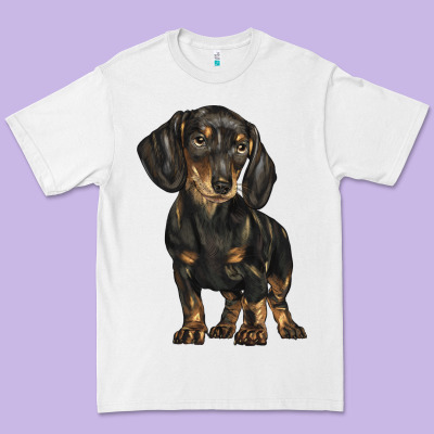 Dachshund Premium Tee Designed By Barkaloodesign