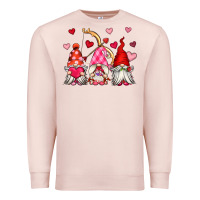 Pale Pink valentine's day gnomes Premium Sweatshirt - OliviaCreatesArt