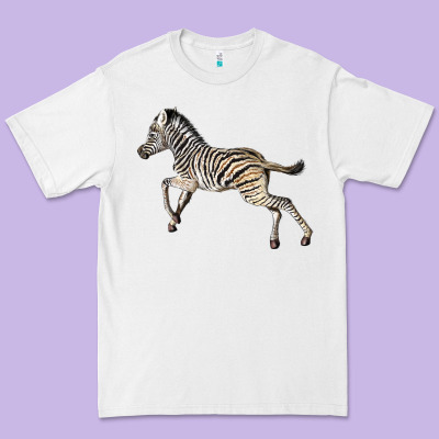 Baby Zebra Premium Tee Designed By Lillyallendesigns